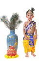 Raj Costumes krishna Dress for Kids with
