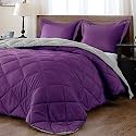 Rajasthan Crafts Soft Microfibre Comforter Blanket Lightweight Reversible Quilt Razai Duvet All Weather, 200 GSM Double Bed 90x100 Inches, Purple and Grey Color
