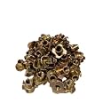 T-Nut 3/8"-16 x 7/16" Stainless Steel, (50 Piece) Pronged Tee Nut. for Wood, Rock Climbing Holds | Chair Spare Part Kanta Chandi