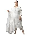 Rajnandini Women39s Pure Cambric Cotton Embroidered Plus