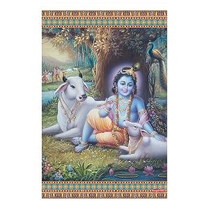rangoli wall sticker with sparkel lamination and waterproof and scratch proof 12 or 18 inch pack of 1 multicolor vinyl dc1973