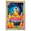 Rangoli Wall Sticker with sparkel Lamination and Waterproof and Scratch Proof 12 or 18 inch Pack of 1 Multicolor Vinyl DC1972