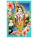 Rangoli Wall Sticker with sparkel Lamination and Waterproof and Scratch Proof 12 or 18 inch Pack of 1 Multicolor Vinyl DC2033