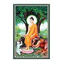 Rangoli Wall Sticker with sparkel Lamination and Waterproof and Scratch Proof 12 or 18 inch Pack of 1 Multicolor Vinyl DC1960