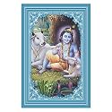 Rangoli Wall Sticker with sparkel Lamination and Waterproof and Scratch Proof 12 or 18 inch Pack of 1 Multicolor Vinyl DC2002