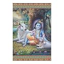 Rangoli Wall Sticker with sparkel Lamination and Waterproof and Scratch Proof 12 or 18 inch Pack of 1 Multicolor Vinyl DC1973