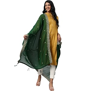 rani saahiba women39s chiffon emboidered dupatta