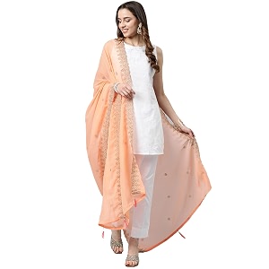 rani saahiba women39s chiffon emboidered dupatta