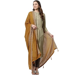 rani saahiba women39s chiffon emboidered dupatta