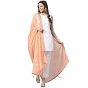 RANI SAAHIBA Women's Chiffon Emboidered Dupatta
