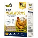 RANZ 10LB Dried Mealworms Bulk Bag for Chickens & Wild Birds, Chicken Food