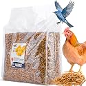RANZ 5LB Dried Mealworms for Chickens, Ducks &amp; Wild Birds, High Protein Treat