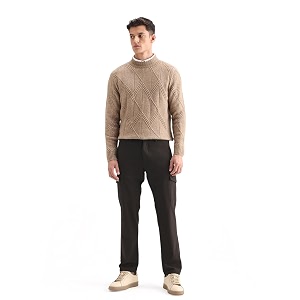 Rare Rabbit Regular fit Plain Trouser
