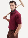RARE RABBIT Solid Men Polo Neck Red
