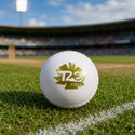 RASCO T 20 Plus Synthetic Cricket Ball Cricket Rubber Ball