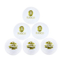 RASCO T 20 Plus Synthetic Cricket Ball