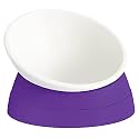 Ravitat Elevated Cat Food Bowl - Adjustable, Anti-Slip & Anti-Noise, Protects Pet's Spine, 17 Oz