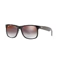 Ray-Ban Men Sunglasses