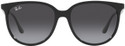 Ray-Ban Retro Square Sunglasses