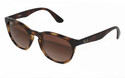 Ray-Ban Round Sunglasses