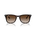 Ray-Ban Unisex Gradient Brown Lens Square Sunglasses - 0RB4420710/1365