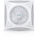 RAYDEAN Mounted Ceiling Fan with Remote360 Air