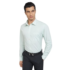 Raymond Mens Slim Fit Pure Cotton Structure