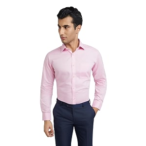 Raymond Men Pure Cotton Slim Fit Structure