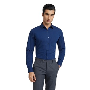 Raymond Mens Slim Fit Pure Cotton Structure
