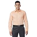 Raymond Men Pure Cotton Slim Fit Structure