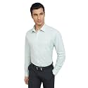 Raymond Men39s Slim Fit Pure Cotton Structure
