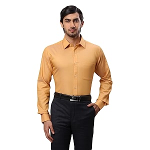 Raymond Mens Solid Slim Fit Shirt