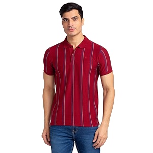Raymond Men Cotton Striped Regular Fit T-Shirt