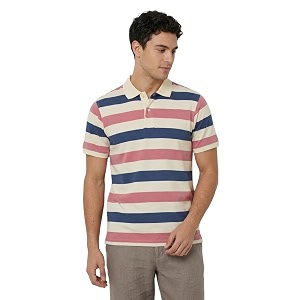 Raymond Men Modern Fit Stripe Pattern Pure