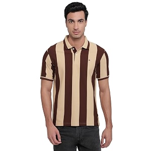 Raymond Men Modern Fit Stripe Pattern Pure