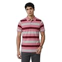 Raymond Men Modern Fit Stripe Pattern Pure