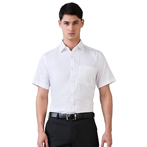 Raymond Men Shirt