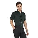 Raymond Men Shirt
