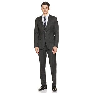 Raymond Men Suit