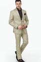 Raymond Viscose Rayon Solid Suit Fabric