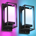 RAYVO Smart Outdoor Wall Lights, RGB Color Changing Sconce, 2 Pack