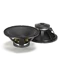 Rcf L18P300 2000W Power Handling 18" Stand-Alone Woofer
