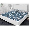 RD TREND Presents Luxurious Glace Cotton Super Soft 210 TC 360° Elastic Fitted Bedsheet King Size (78X72X8 Inch) with 2 Pillow Covers, Colour Aqua Blue Pattern-Floral