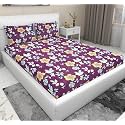 RD TREND 210 TC Queen Size Bedsheet for Double Bed, Microfiber Double Bedsheet 90X90 Inches with 2 Pillow Cover 18X28 Inches Blue Paisley