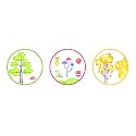 Real Art Wall Hanging Ceramic Plate 7' - 3 pcs Set Gift Packing Multicolor… (Design 6)