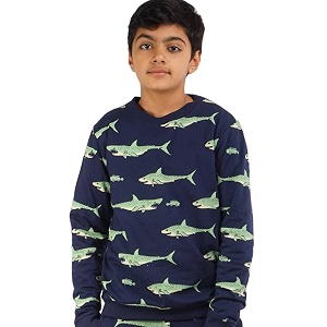 Real Basics Boys Cotton Round Neck Sweatshirt