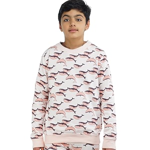 Real Basics Boys Cotton Round Neck Sweatshirt