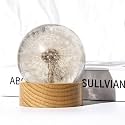 Real Dandelion Specimen in Clear Resin Sphere with Solid Wood Base - 2.36" Preserved Natural Dandelion Display, Botanical Home Decor, Scientific Collectible