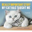 Really Important Stuff My Cat Has Taught Me
