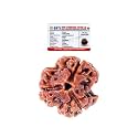 REBUY 3 Mukhi Rudraksha Bead Lab Certified Original Pure from Nepal for Women and Men